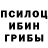Галлюциногенные грибы Psilocybe Danil Materkov