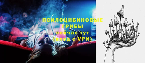a pvp Богородицк