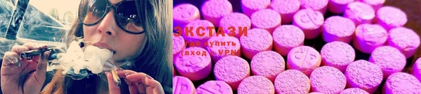 стаф Богородск