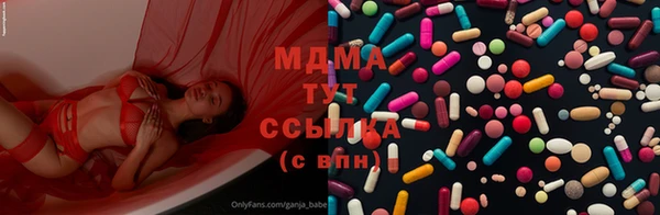 стаф Богородск