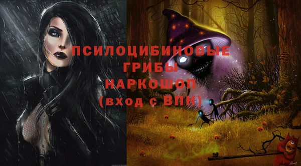 стаф Богородск