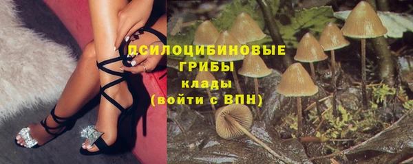 a pvp Богородицк