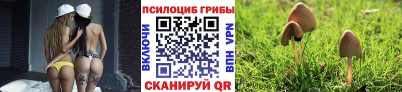 Галлюциногенные грибы Psilocybe  наркота  Ясногорск 